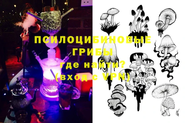метадон Каменногорск