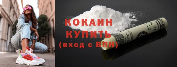 метадон Каменка