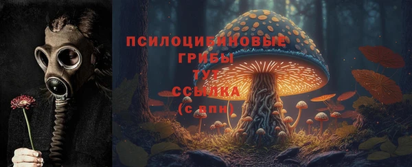 метадон Каменка