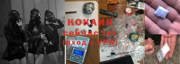 метадон Каменка