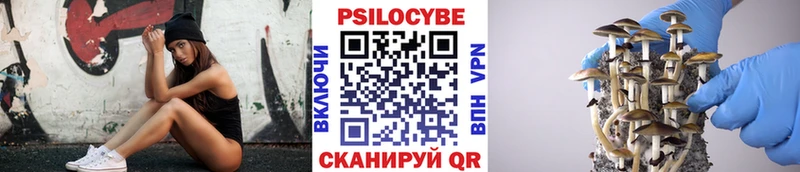 Купить где  Серов  Галлюциногенные грибы прущие грибы 
